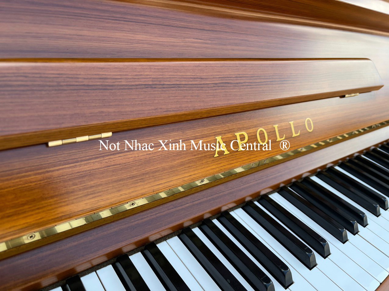 Đàn piano cơ Apollo A360