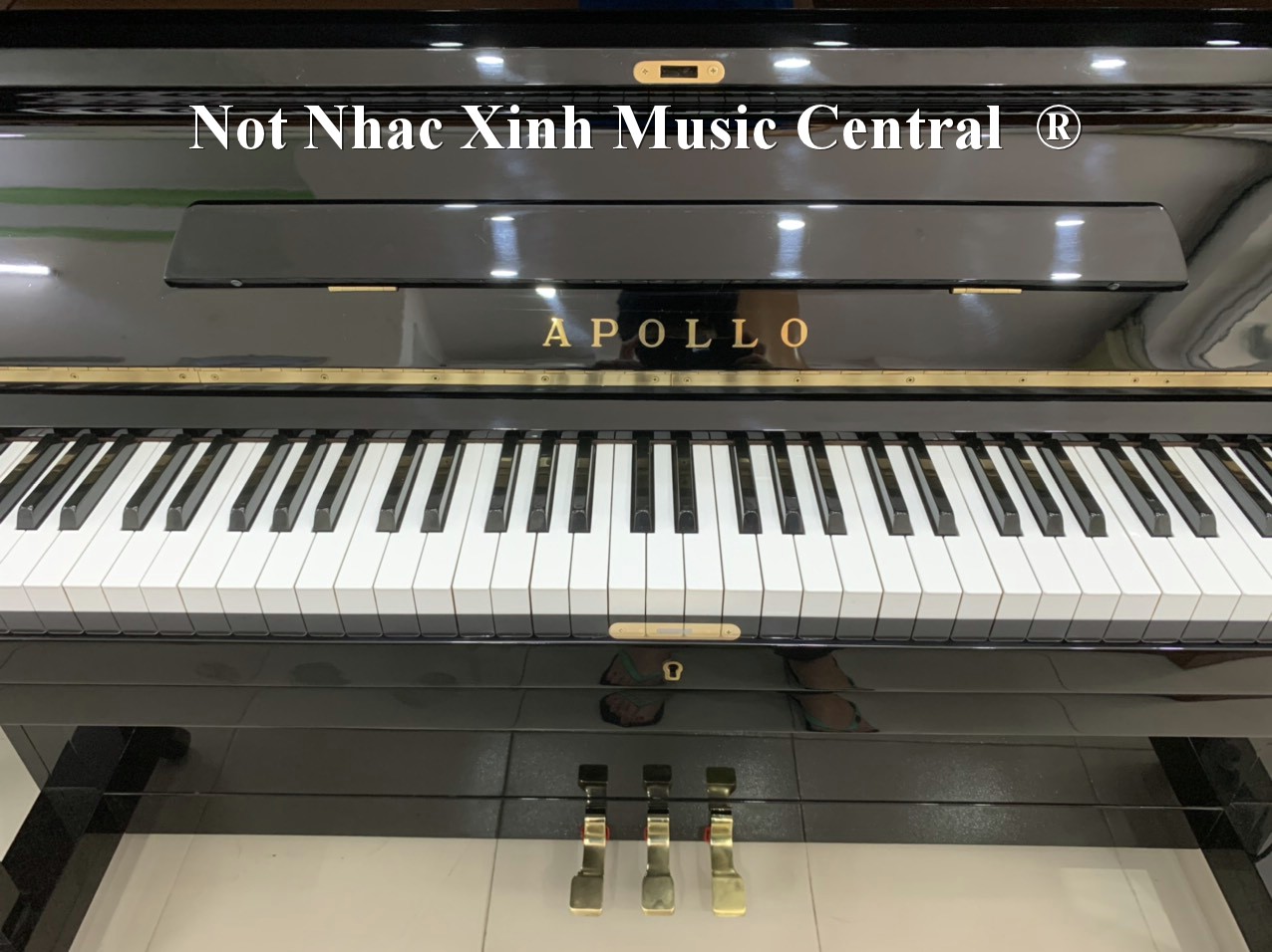 Đàn piano cơ Apollo A8