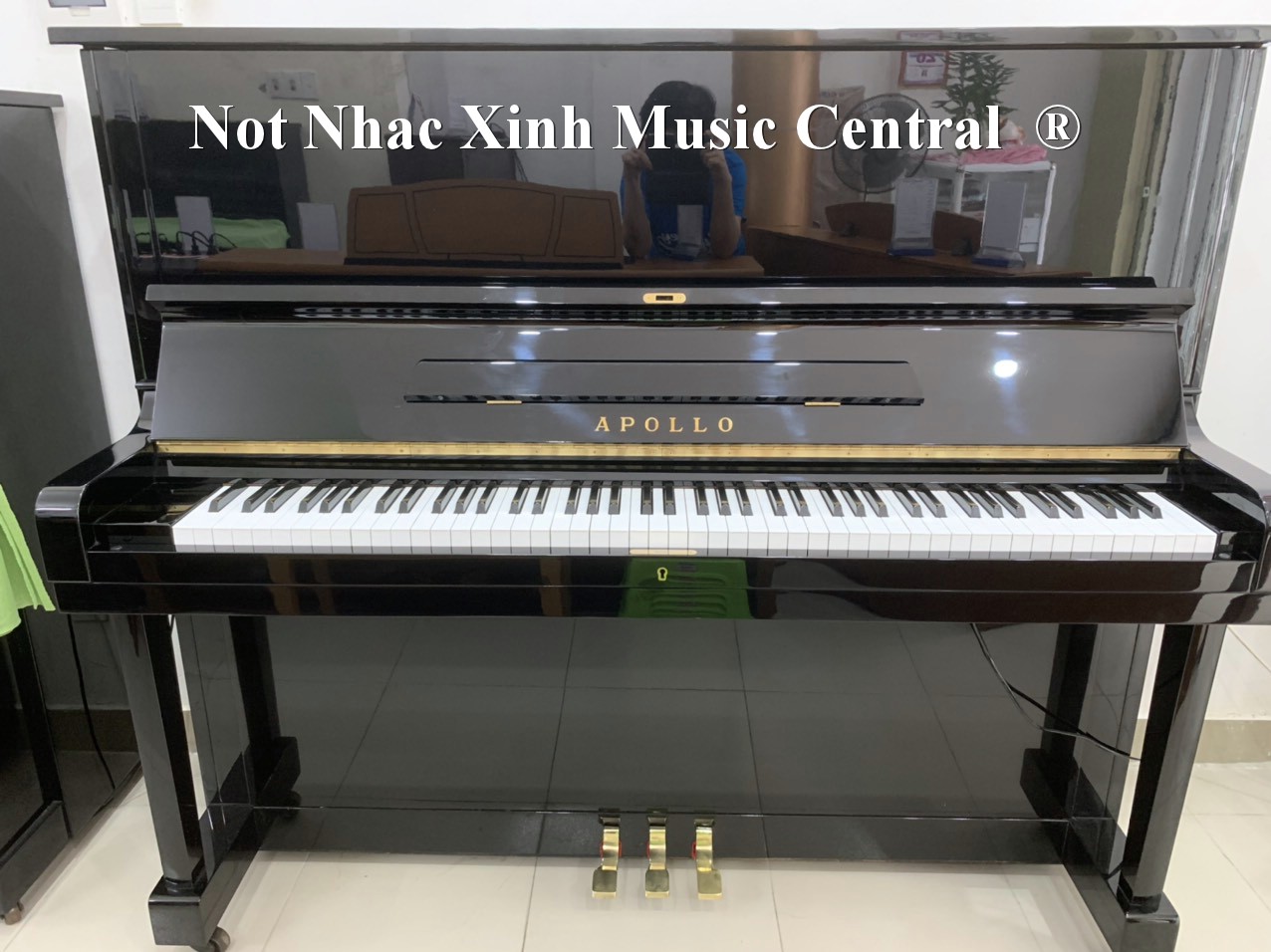 Đàn piano cơ Apollo A8