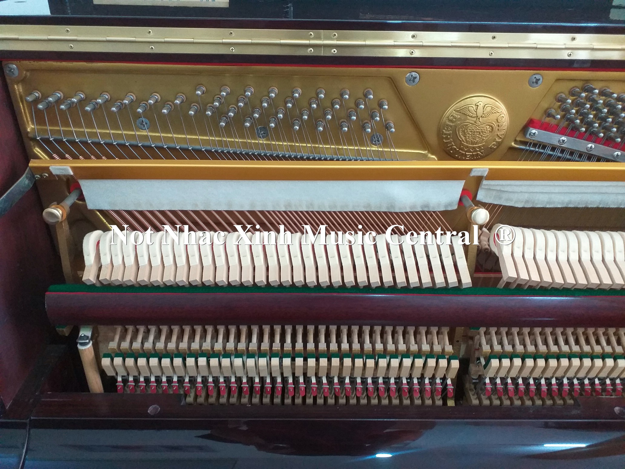 Đàn piano cơ Bern Stein 122B