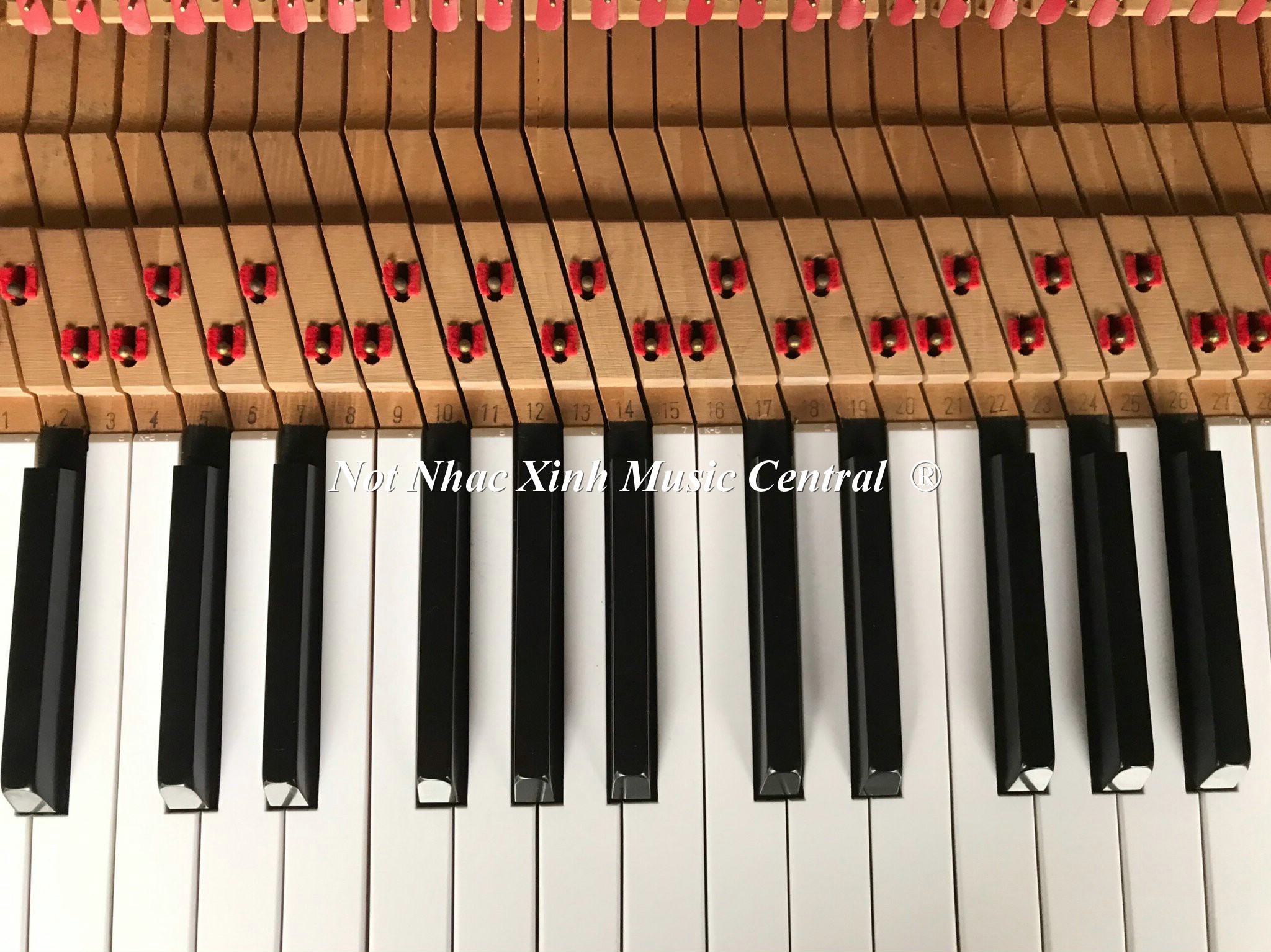 Đàn piano cơ Kawai CL-5E