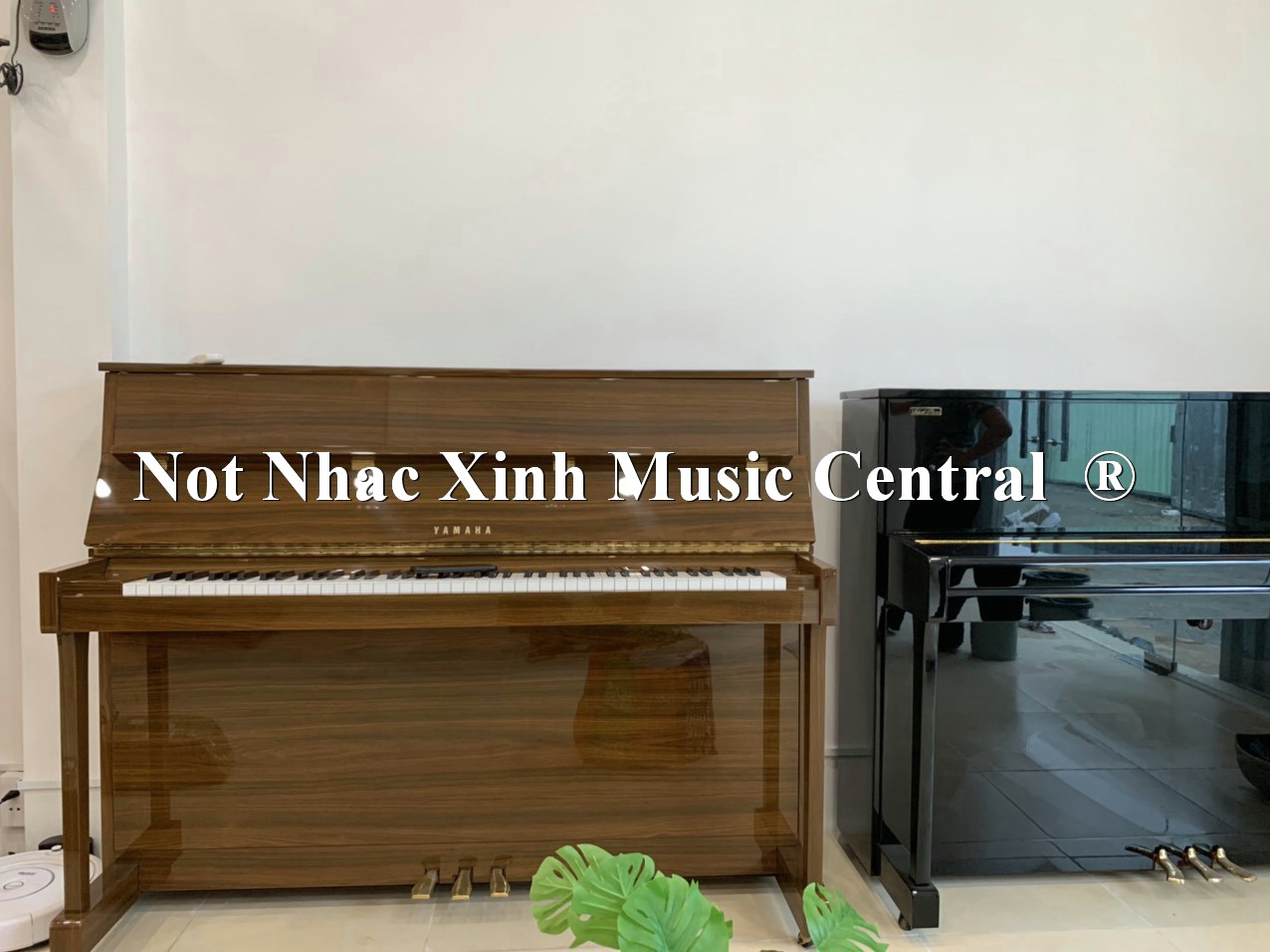 Đàn piano cơ Yamaha MC204