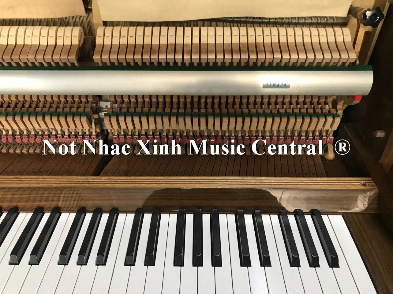 Đàn piano cơ Yamaha MC204