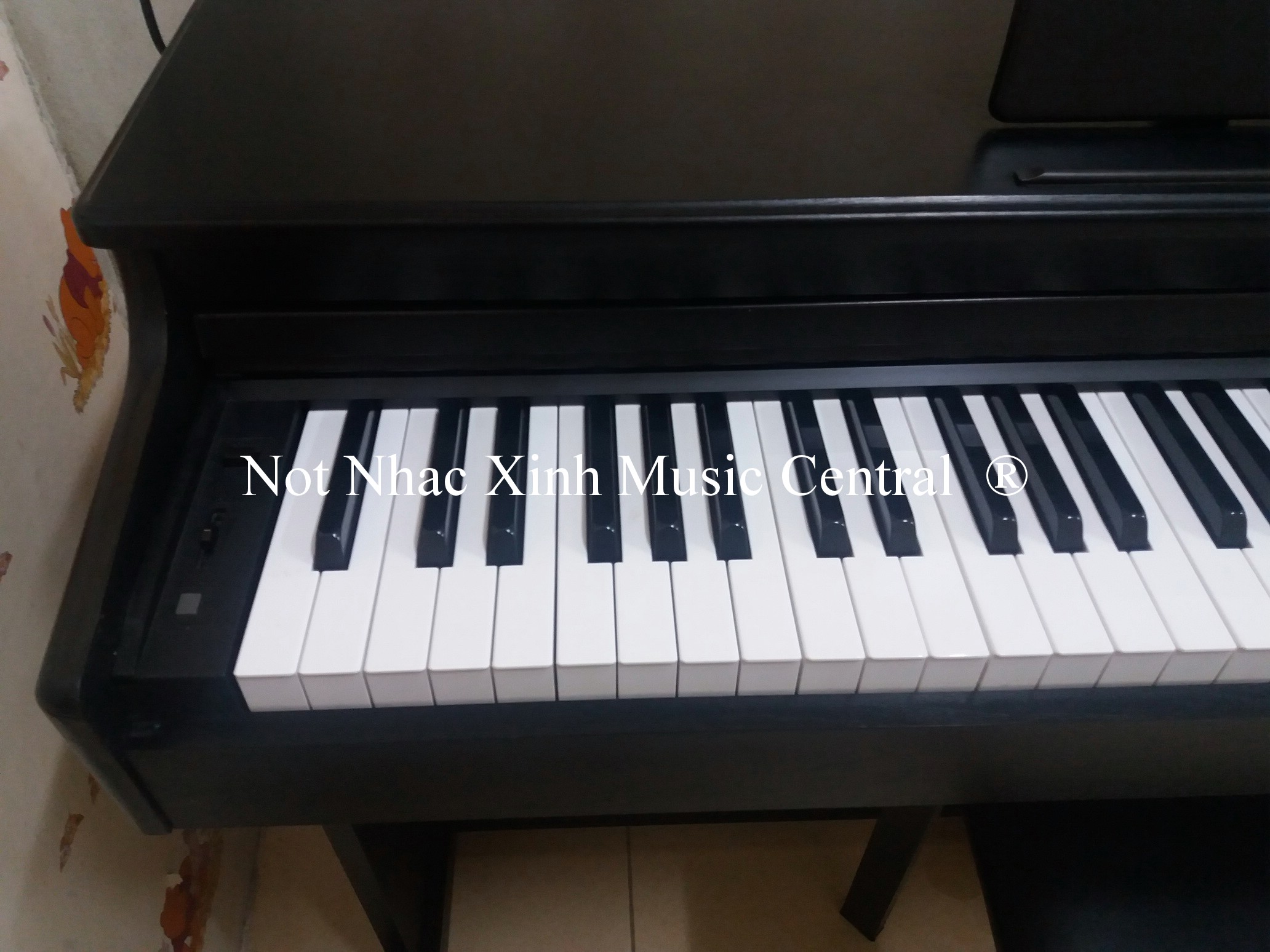 Đàn piano điện Korg C2000