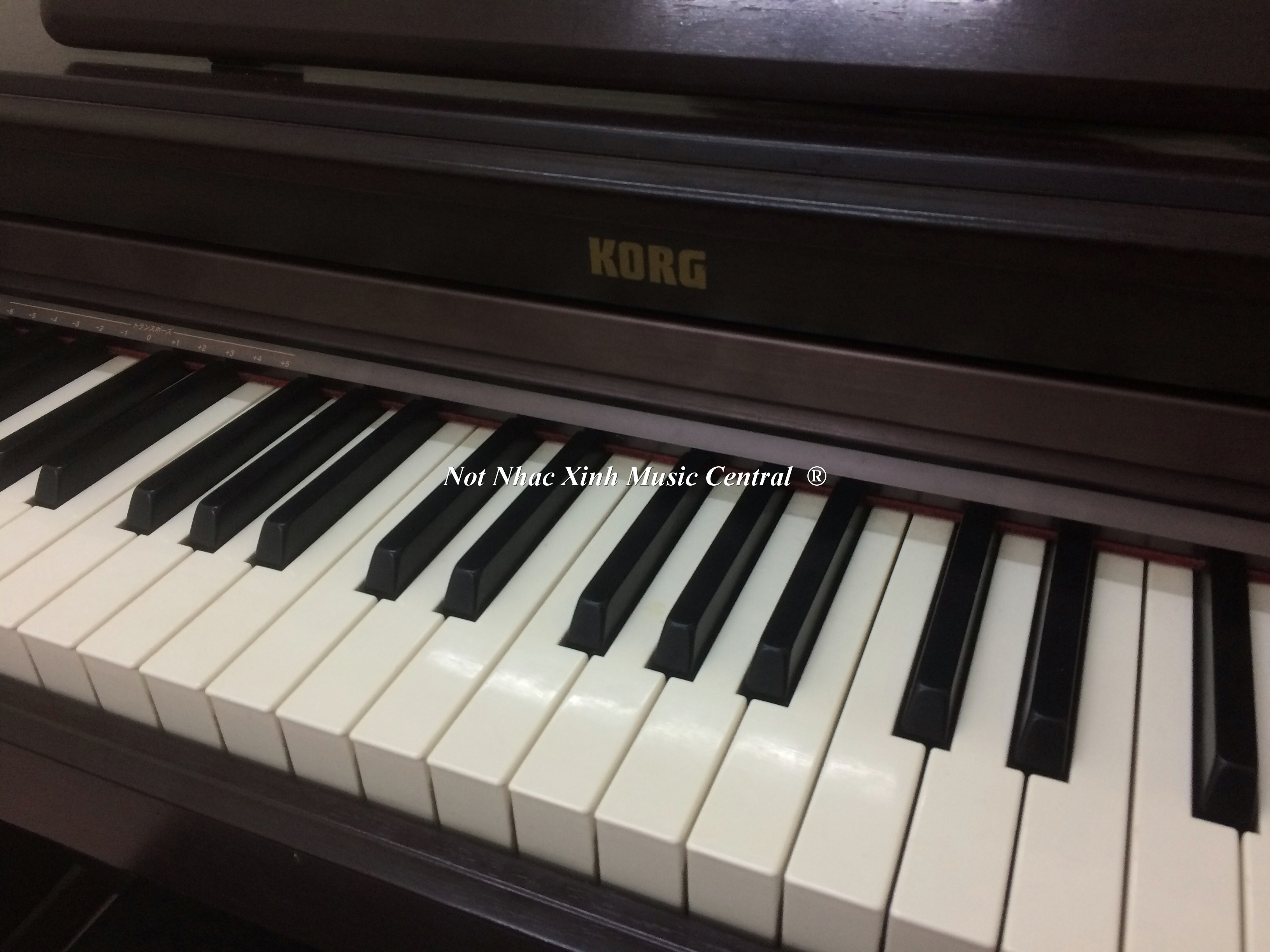 Đàn piano điện Korg C2200