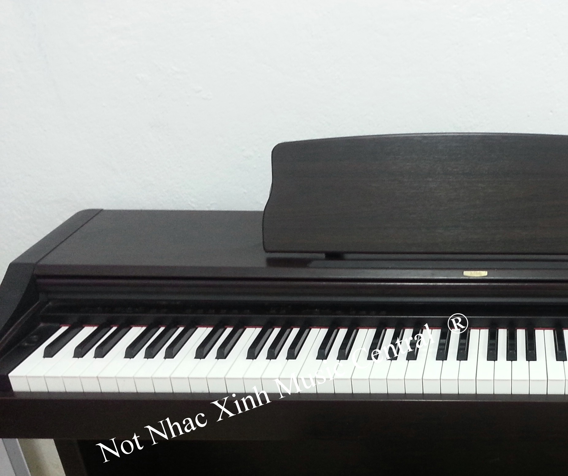 Đàn piano điện Korg C303