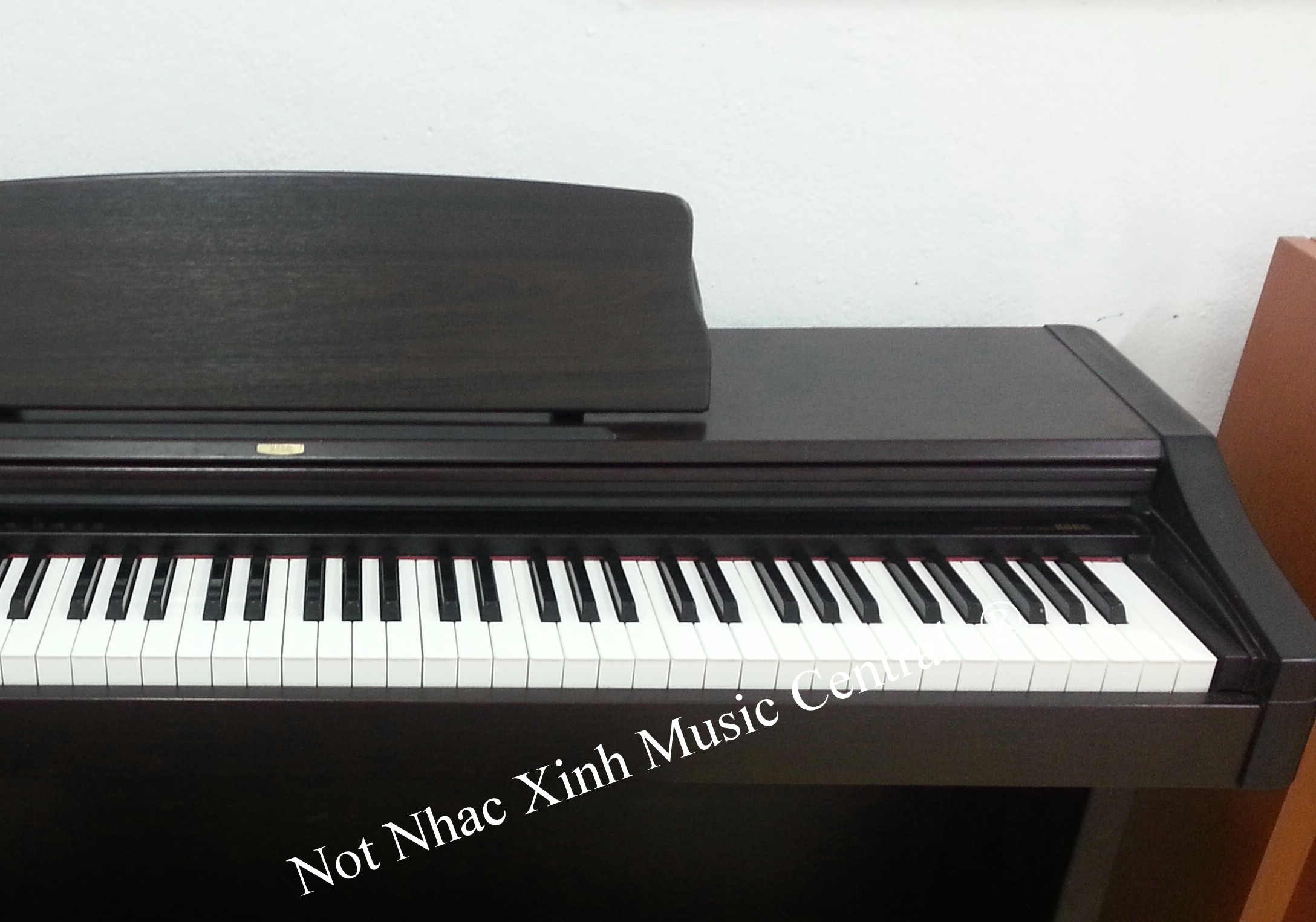 Đàn piano điện Korg C303