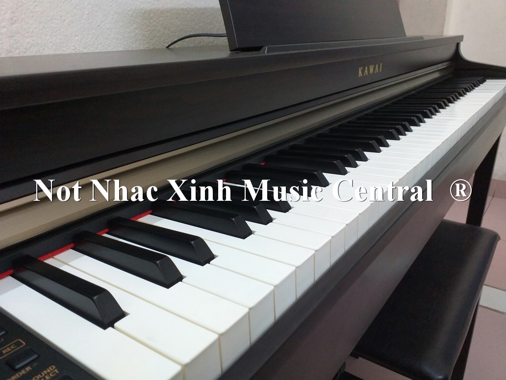 Đàn piano điện Kawai CN-23