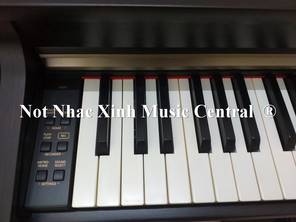 Đàn piano điện Kawai CN-23