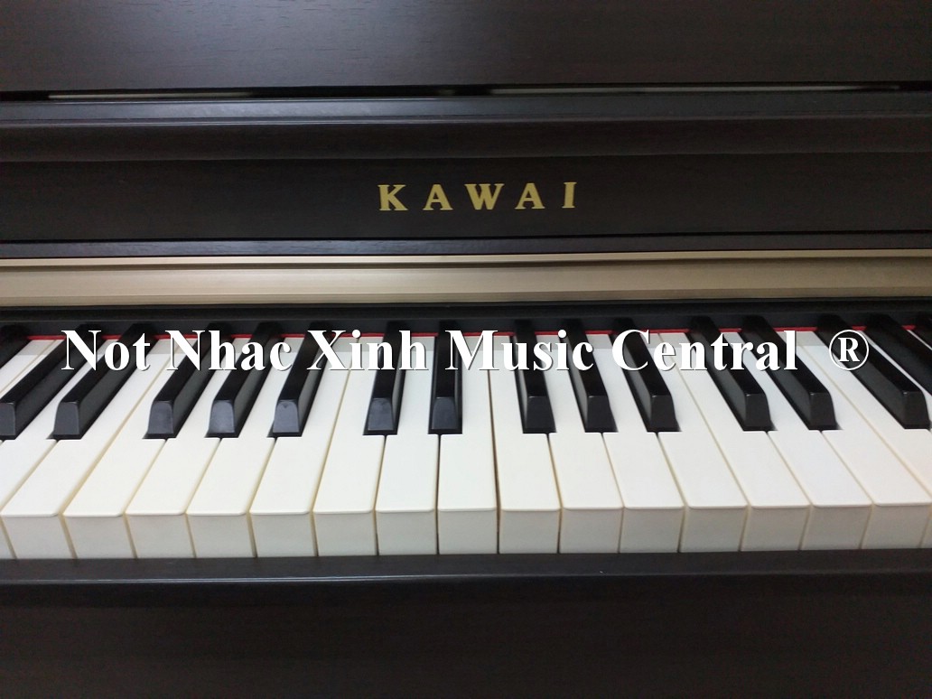 Đàn piano điện Kawai CN-23