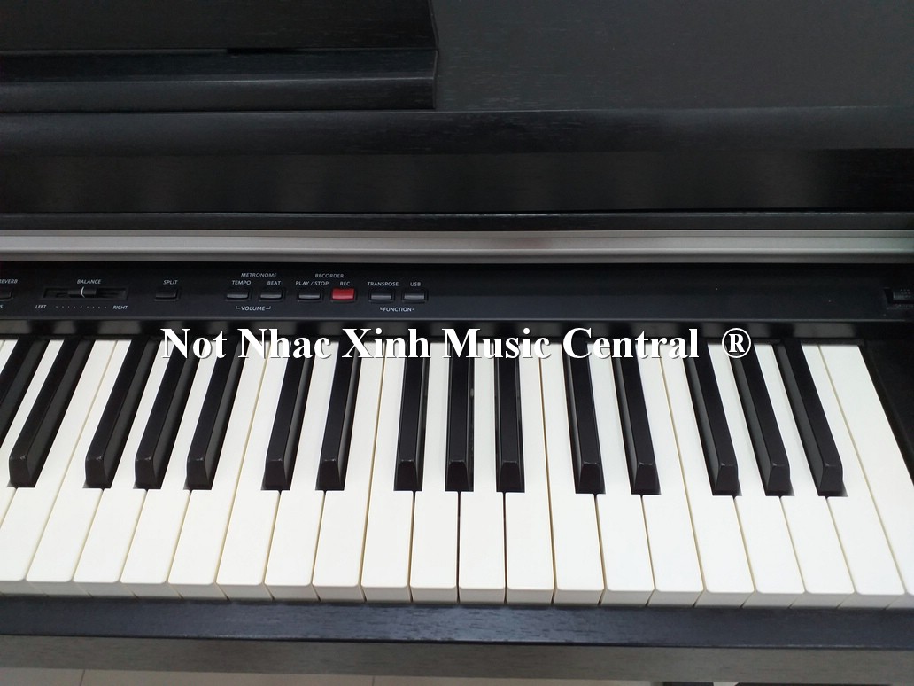 Đàn piano điện Kawai CN-33