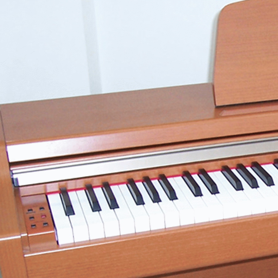 Đàn piano điện Kawai PN-2