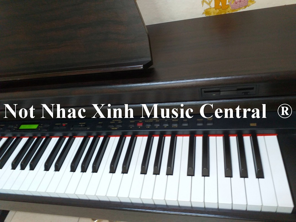 Đàn piano điện Kawai PN-4