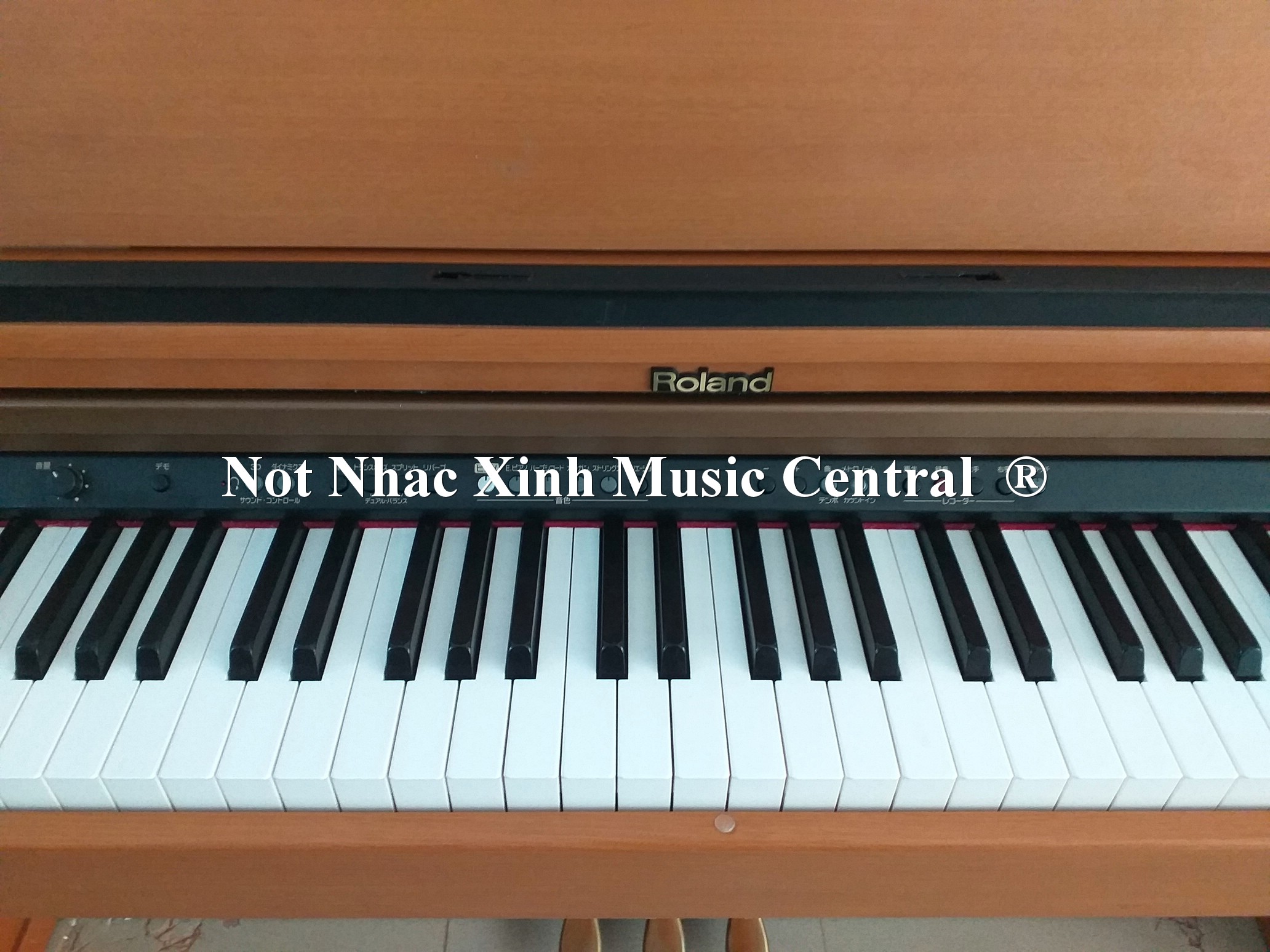 Đàn piano điện tử Roland HP-103