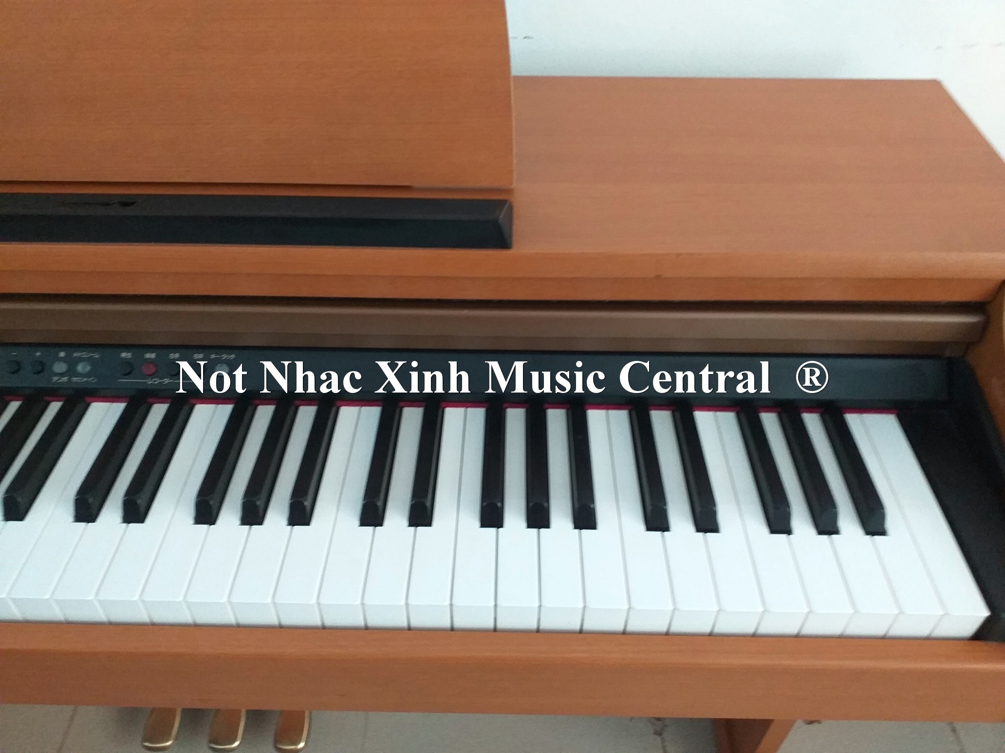 Đàn piano điện tử Roland HP-103