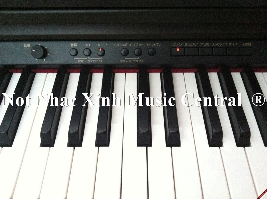 Đàn piano điện Roland HP-203MH