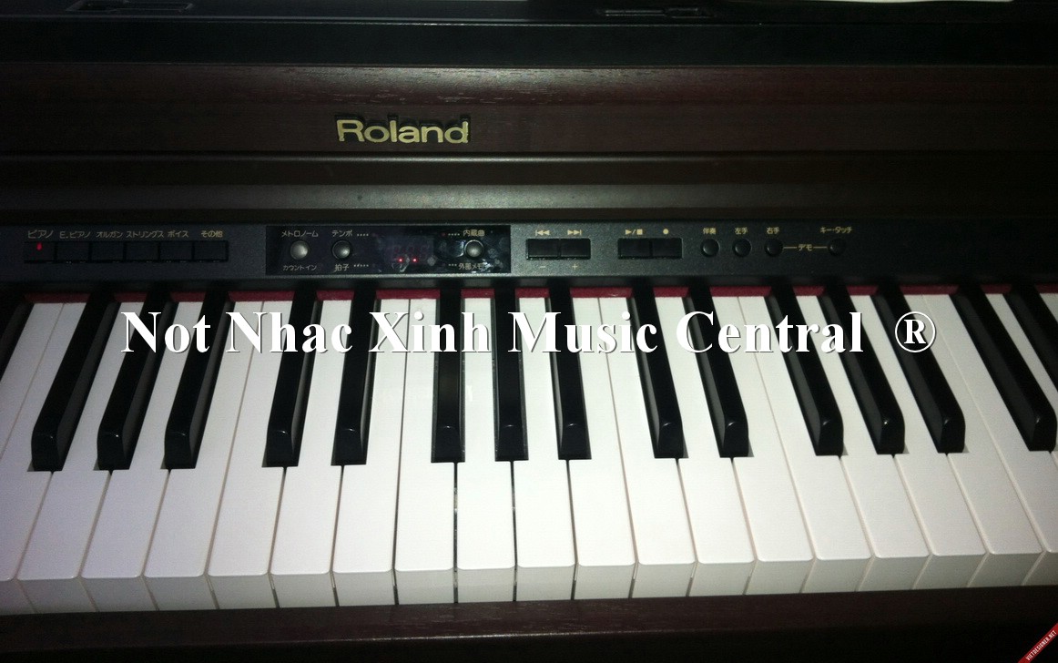 Đàn piano điện Roland HP-203MH