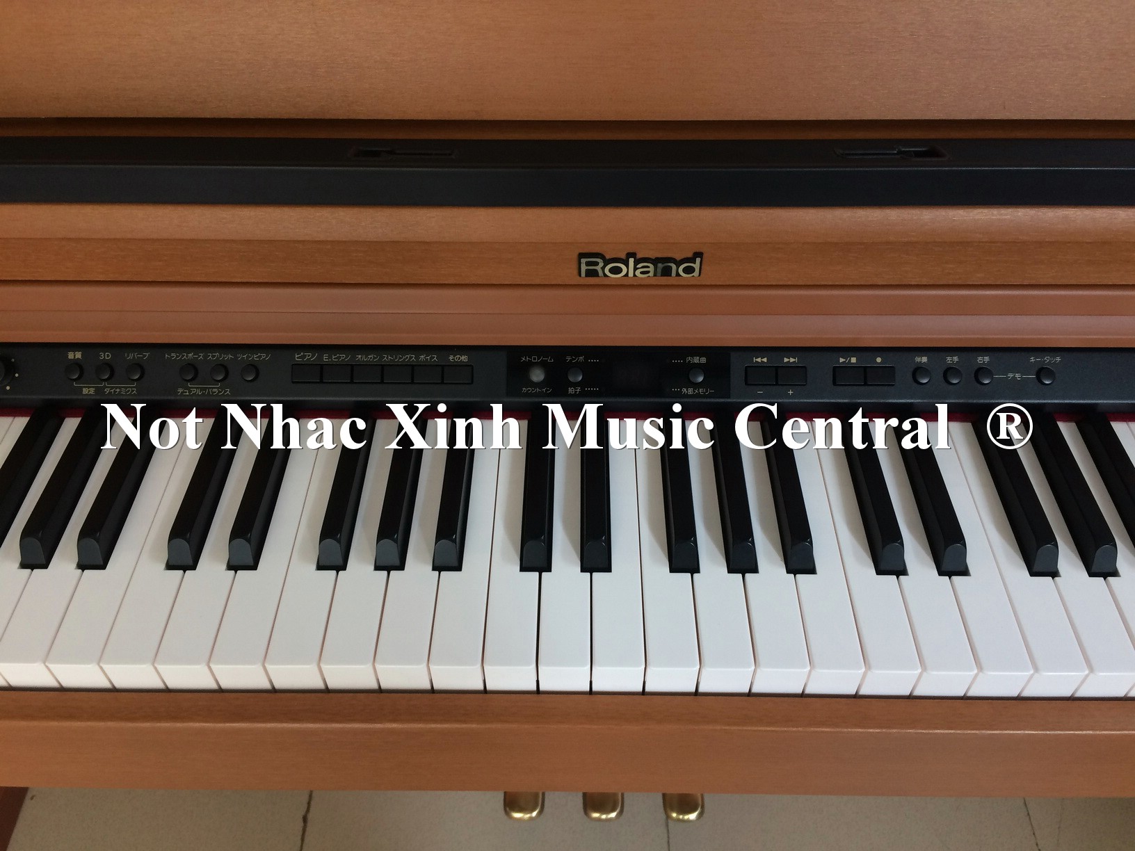 Đàn piano điện tử Roland HP-203