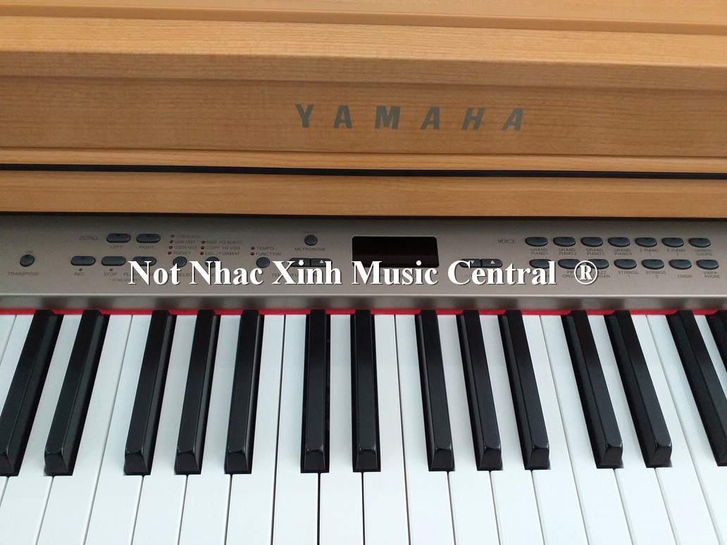 Đàn piano điện Yamaha CLP-430