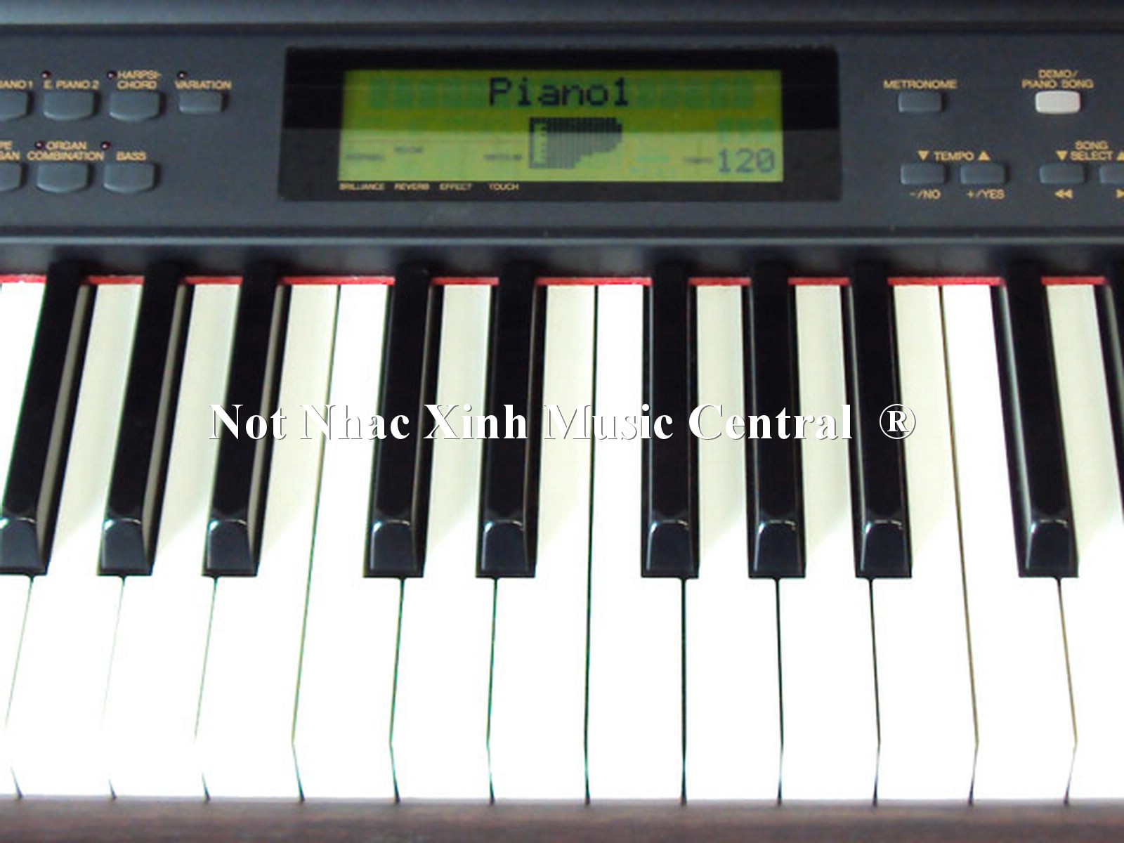 Đàn piano điện Yamaha CLP-911