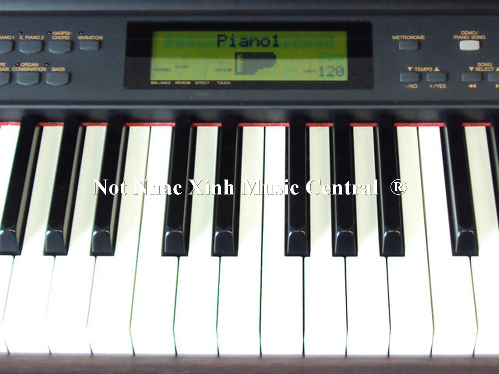 Đàn piano điện Yamaha CLP-911