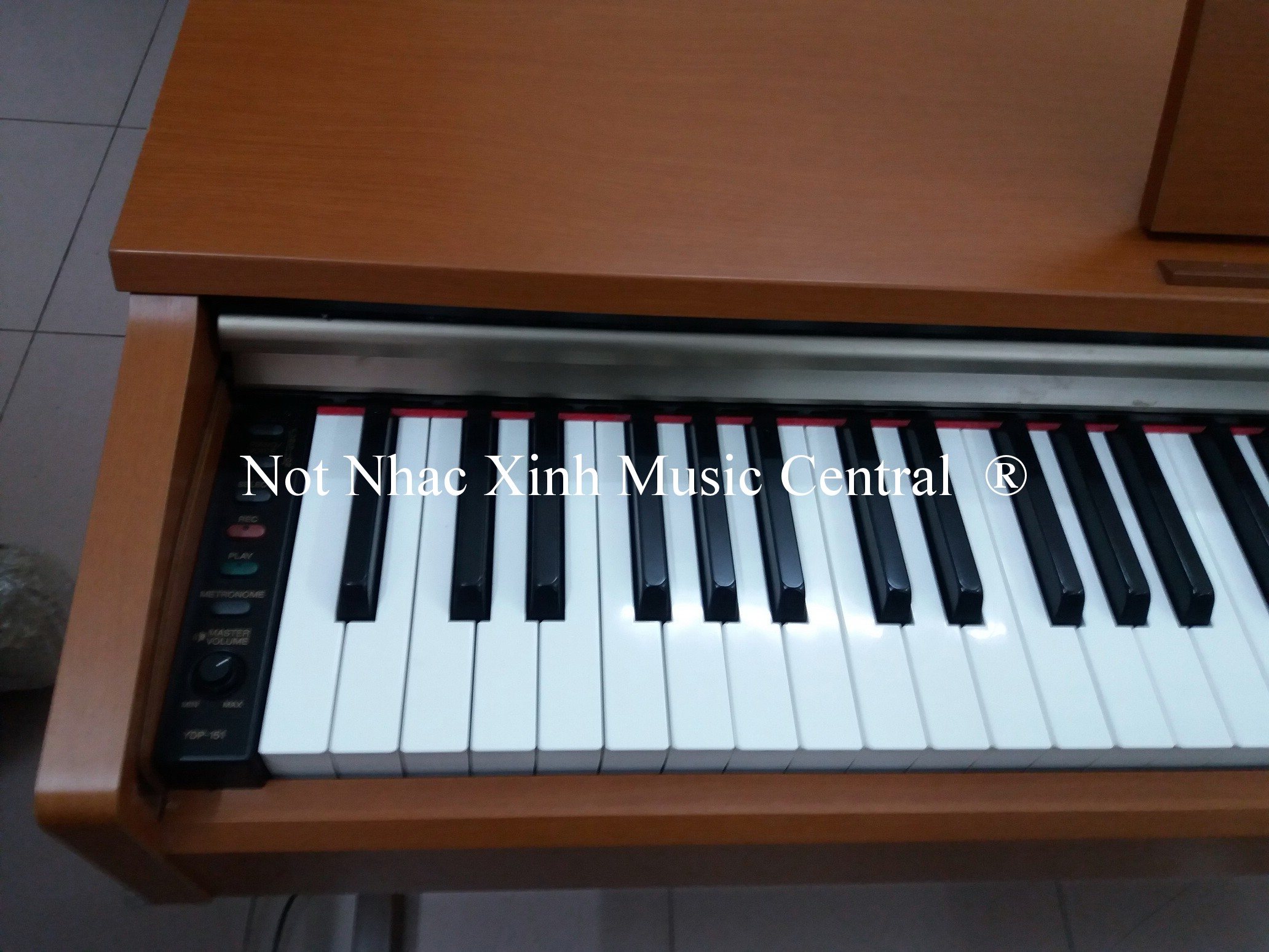 Đàn piano điện tử Yamaha YDP-151C