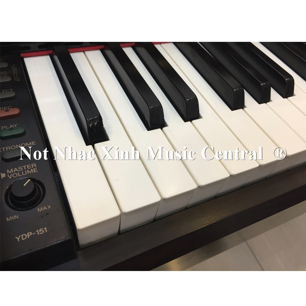 Đàn piano điện Yamaha YDP-151