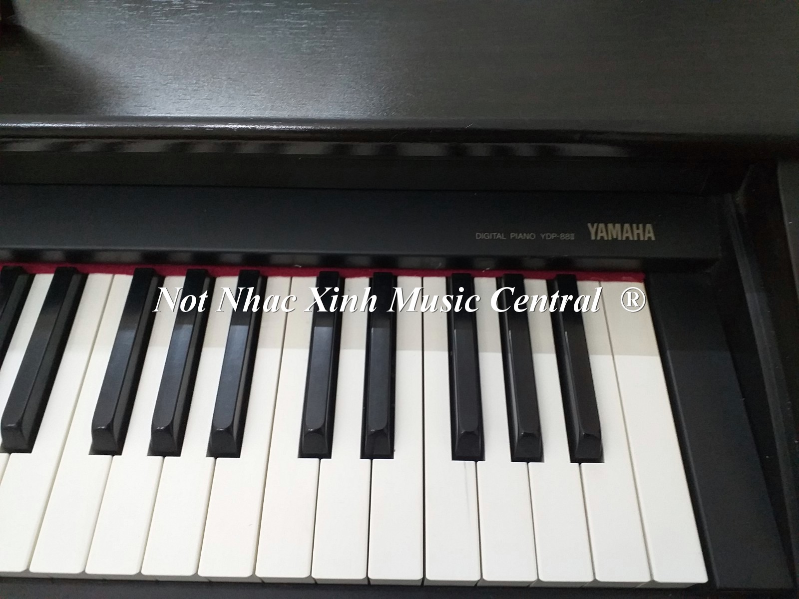 Đàn piano điện Yamaha YDP-88II