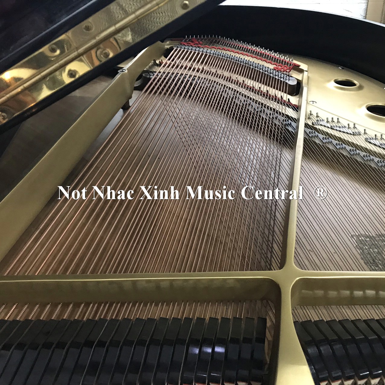 Đàn grand piano Yamaha G2E