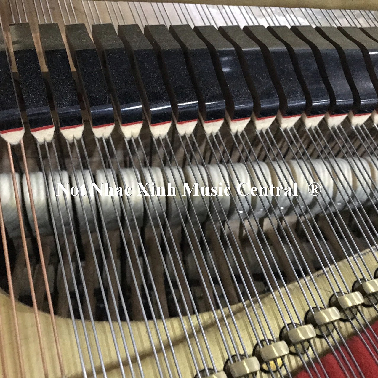 Đàn grand piano Yamaha G2E